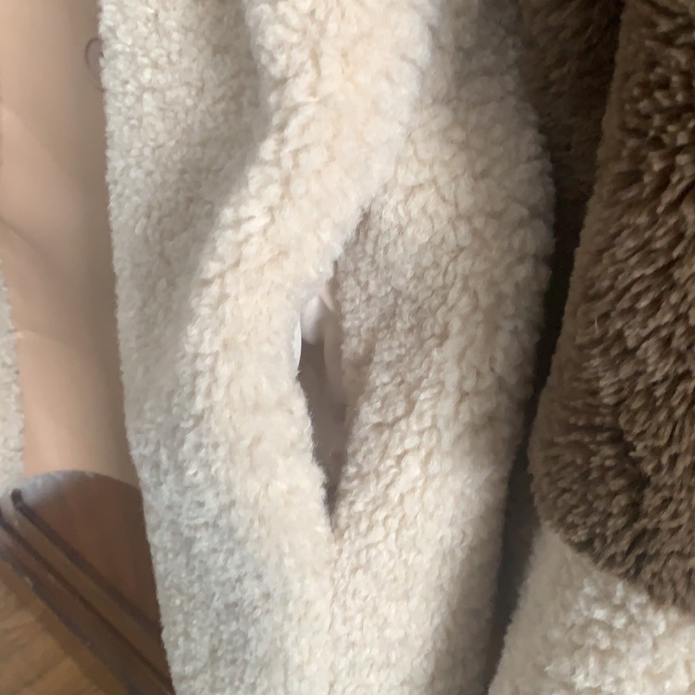 Coat - Picture 4 of 5